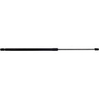 Set of 2 Hood Lift Supports for ES300h