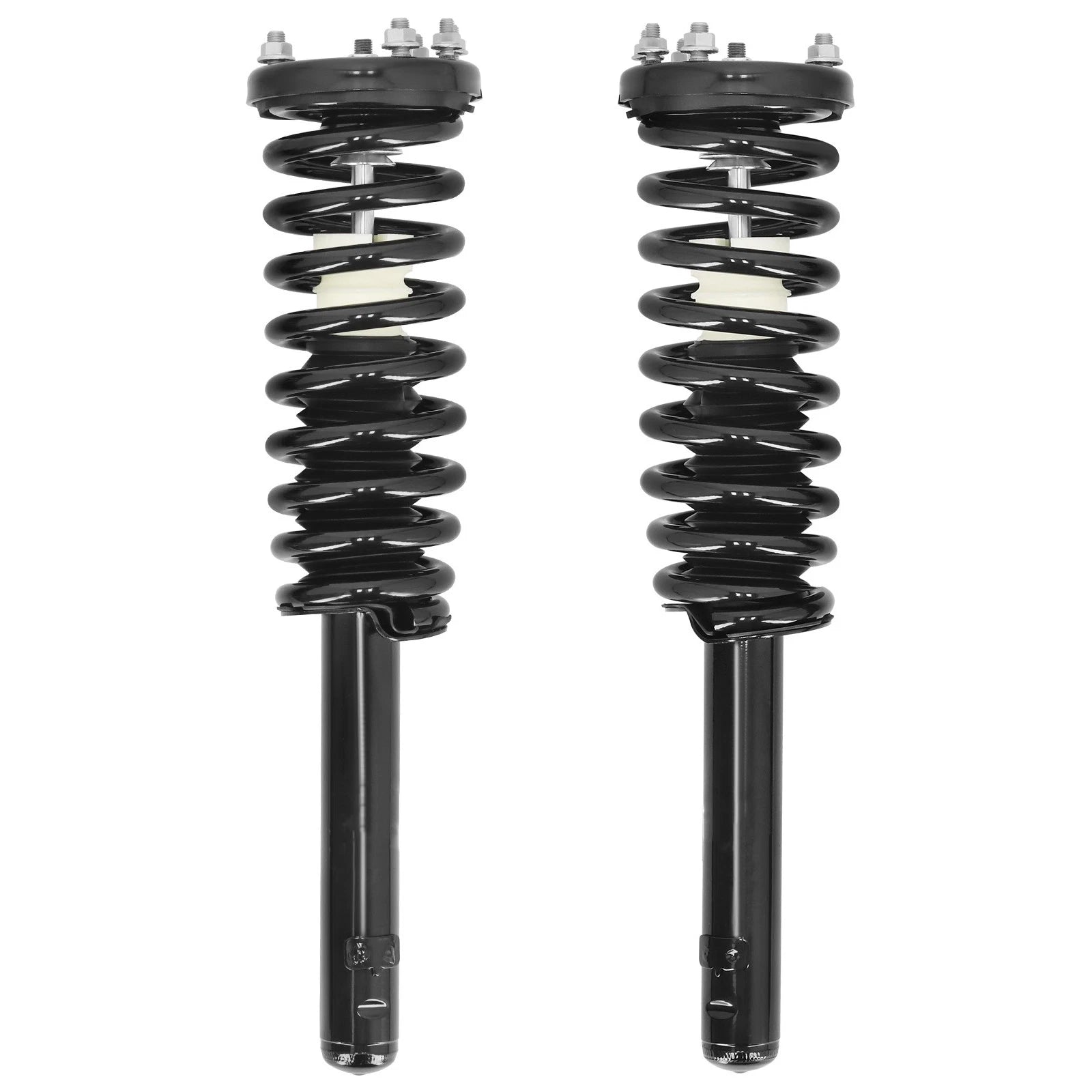 2X Front Struts w/Coil Springs for Honda Accord (2003–2007)