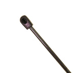 Trunk Lid Lift Support for Jaguar XJ12 (1994)