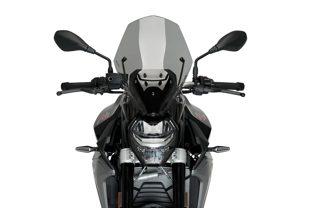Windscreen for BMW Naked New Gen Touring