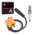Ignition Coil Pack and Spark Plug for Kawasaki Teryx4 800 (2014-2022)