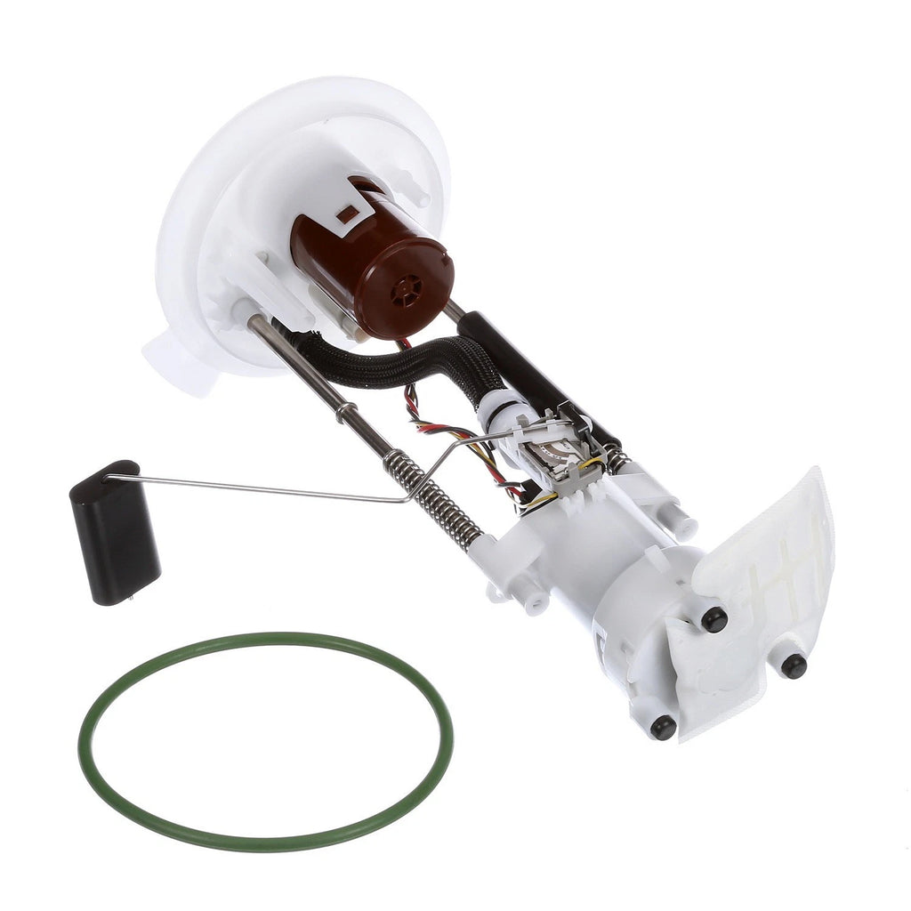 Delphi FG0847 Fuel Pump Module Assembly for Ford F-150/Lincoln Mark LT (2004–2008)