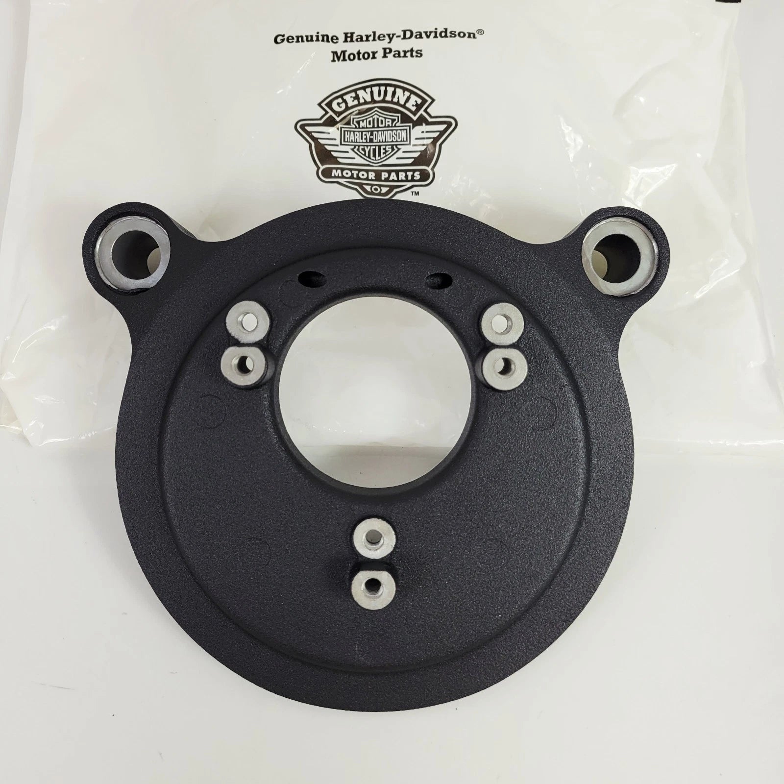 Screamin' Eagle Air Cleaner Backing Plate for Harley-Davidson (2008–2017)