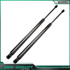 2 Lift Supports for Ford Expedition (2003–2006)