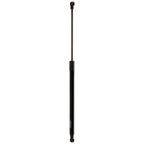 Liftgate Lift Supports for Various Vehicles