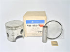 Piston Kit for Sierra 18-4122 Johnson Evinrude OMC Small Bore Loopers (STD)