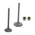 Engine Head Intake Exhaust Valves Seals for Honda CG250cc (2000–2023)