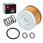 Oil Filter & Spring for Honda Sportrax TRX300EX TRX400EX (1999-2008)