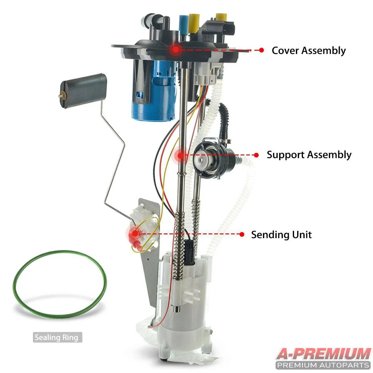 Fuel Pump Assembly for Ford Ranger (2004-2006)