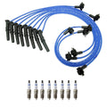 NGK Wire Set & Bosch 8 Wire Platinum Spark Plugs for Expedition Town Car (1997–2002)