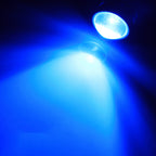 8000K Blue LED T10 W5W for Toyota (2017-2023)