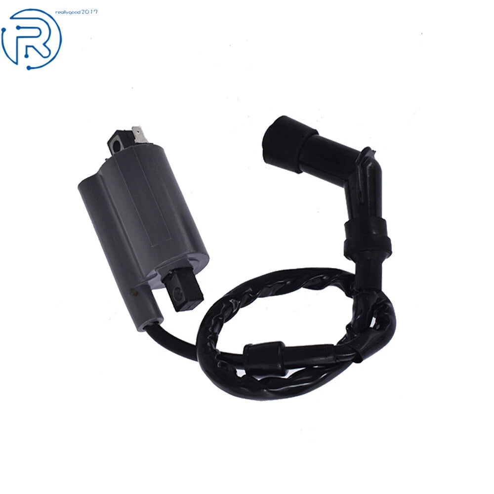 Ignition Coil for Yamaha Raptor 700 YFM700 (2006-2019)