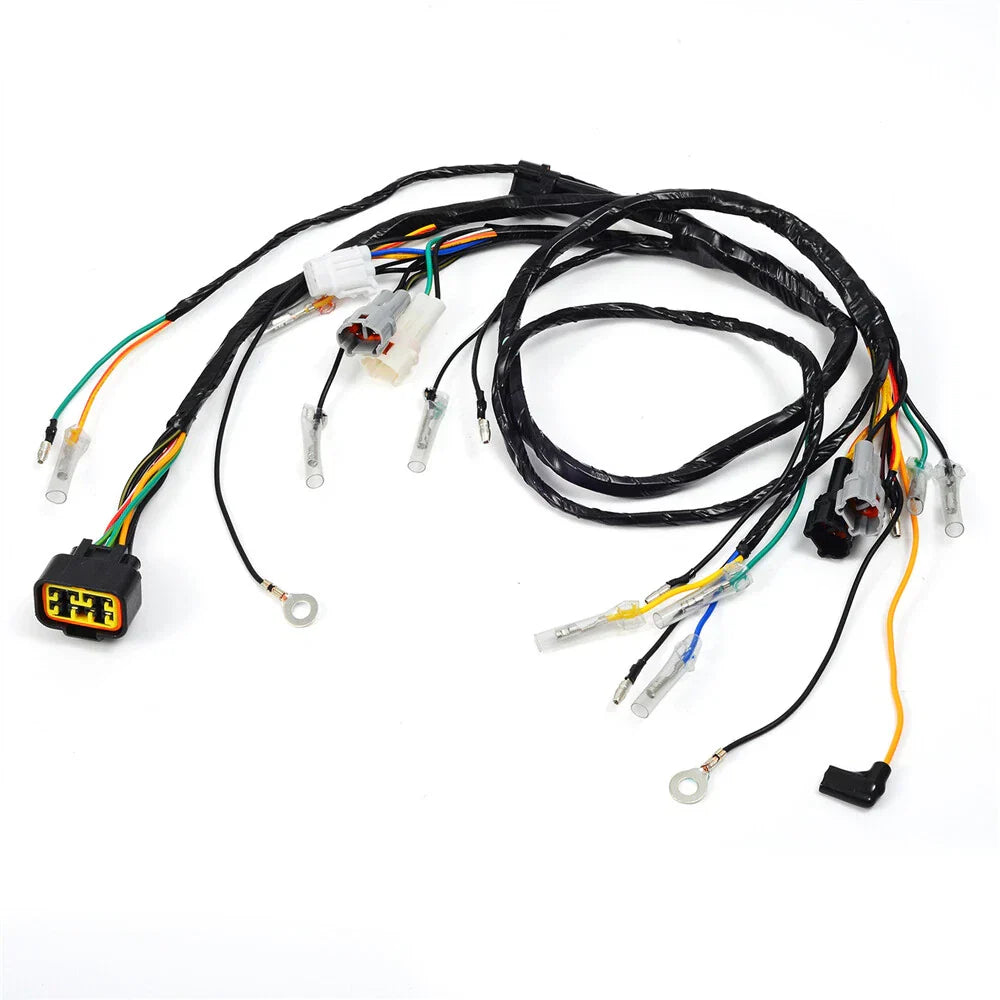 wiring harness for Yamaha Blaster 200 YFS200 (2003–2006)