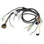 wiring harness for Yamaha Blaster 200 YFS200 (2003–2006)