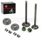 Intake Exhaust Valves & Seals Spring for Honda XR100R XR80R CRF100F CRF80F (2000–2023)