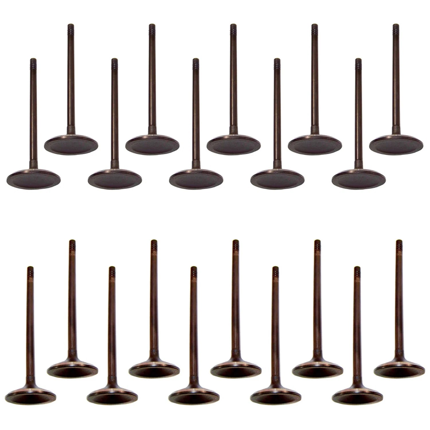 Set of 20 Intake & Exhaust Valves Kit for Canyon Colorado H3 H3T i-370 (2004–2012)