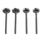 Intake Exhaust Valves for Polaris Ranger Magnum Scrambler Sportsman (400–500)