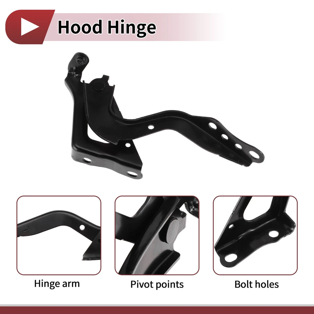 Hood Hinge for Toyota RAV4 (2020) Left Side