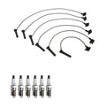 Denso Wire Set & 6 Double Platinum Spark Plugs for Ford 4.0 V6 (0.050)