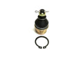Lower Ball Joint for Honda (51355-HN0-A01)