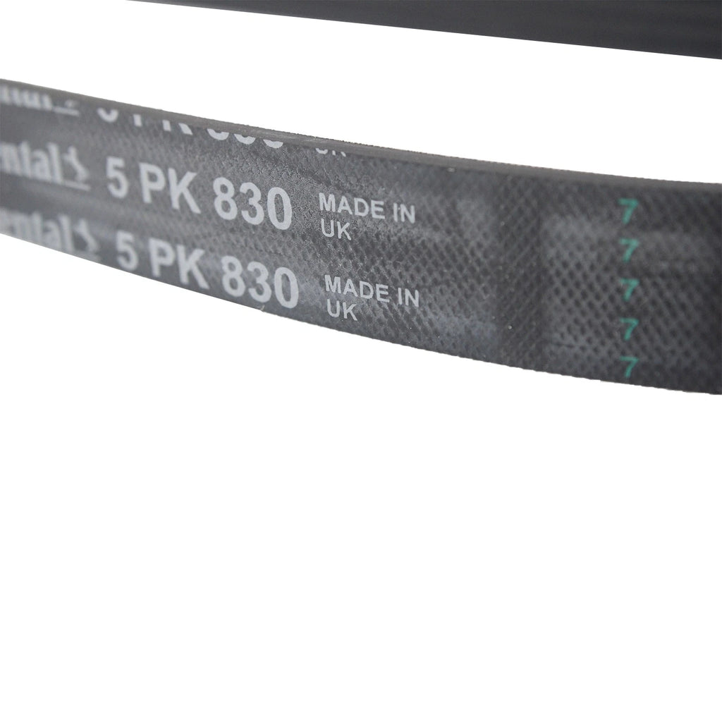 Serpentine Belt 5PK830 for Continental Automotive (Metric)