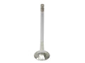 Exhaust Valve for TRW (331126)