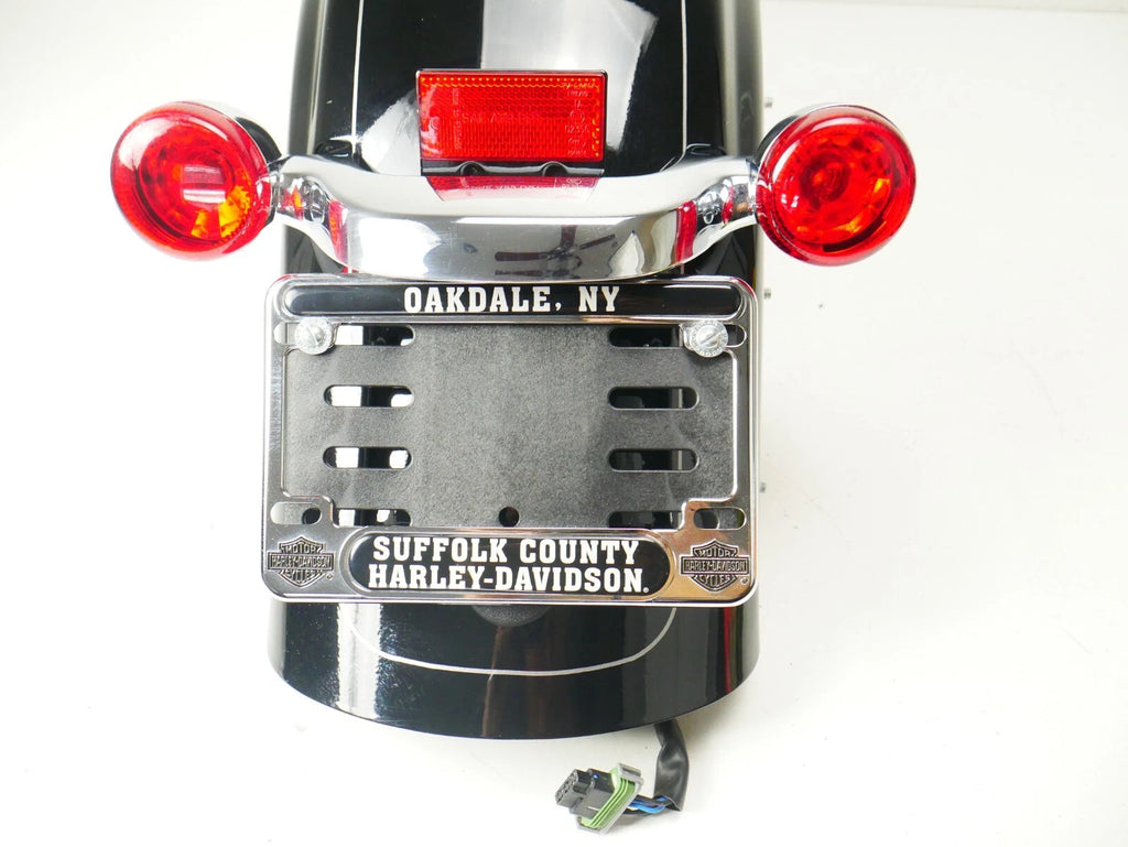 Rear Fender with Lights for Harley Touring Street Glide (2009–2023) Black Pin Stripe