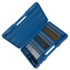 Wire Brush Set for Drill for Brass Steel Nylon (1/4" Hex Shank, 8–19mm)