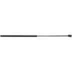 Hood Lift Supports for Sedan (Driver/Passenger Side)