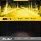 2X LED Fog Light Bulbs  - Golden Yellow