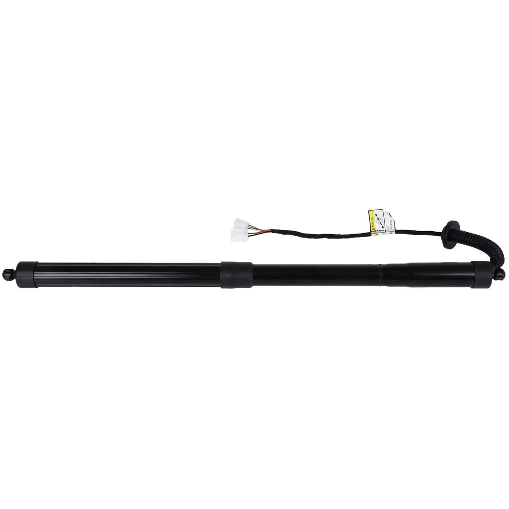 Liftgate Lift Support Shock Strut for Honda Pilot (2018–2020)