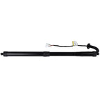Liftgate Lift Support Shock Strut for Honda Pilot (2018–2020)