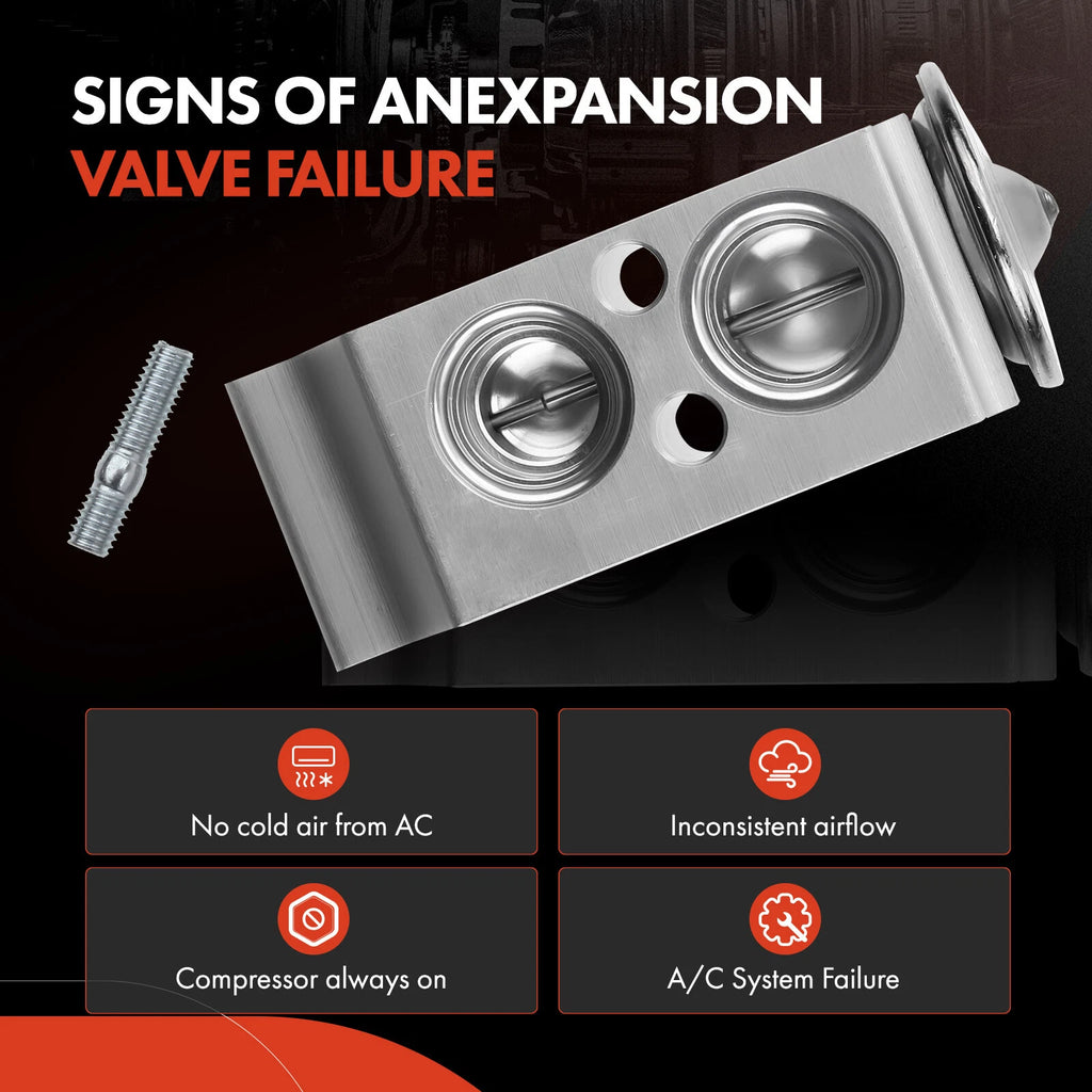 A/C Expansion Valve for Kia Rondo, Spectra, Spectra5 (2007–2010)