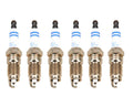 Set of 6 Bosch OE Double Platinum 1mm Pregapped Spark Plugs for V6