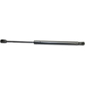 Lift Support for Acura TL (2004–2005) Hood Driver or Passenger Side