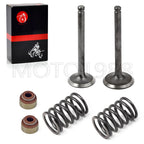 Intake Exhaust Valve Set with Seals & Springs for Club Car DS (1992–Up)