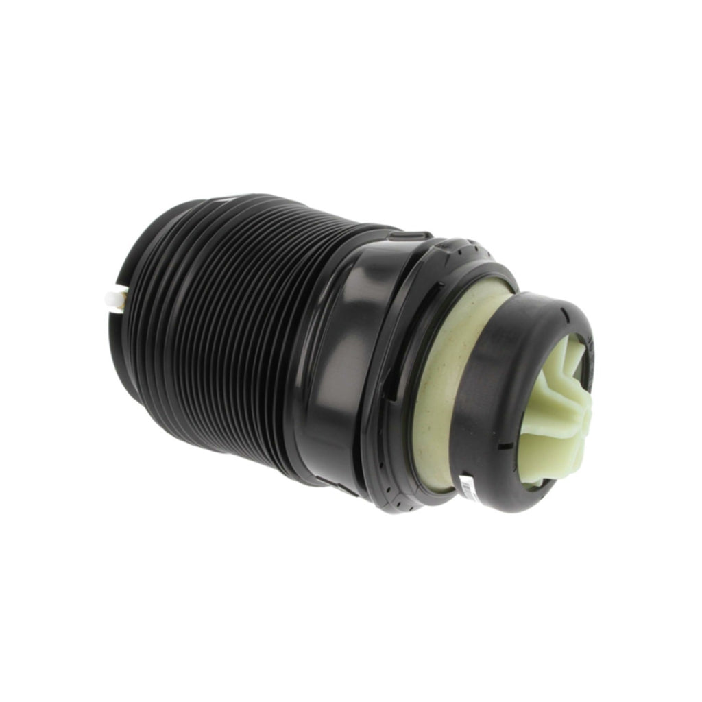 Air Spring Shock and Strut for Mercedes-Benz (Rear Left)