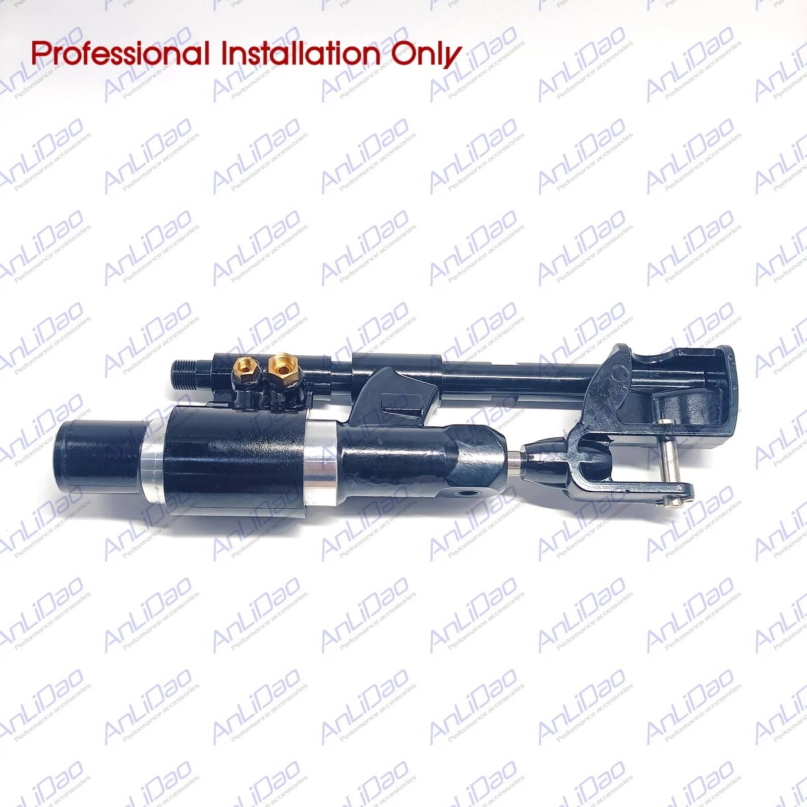Power Steering Actuator Ram Cylinder Assembly for Volvo (21910902, 3812269)