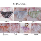Set of 4 Lace Bikini Briefs for Women - Sheer Mesh, Various Colors