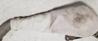 Emergency Parking Brake Handle for Jaguar XJ8/XJ8L/VDP/XJR (1998–2003)