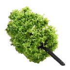 Model Tree Scenery 1:100 for Railroad (Plastic Decoration Accessories)