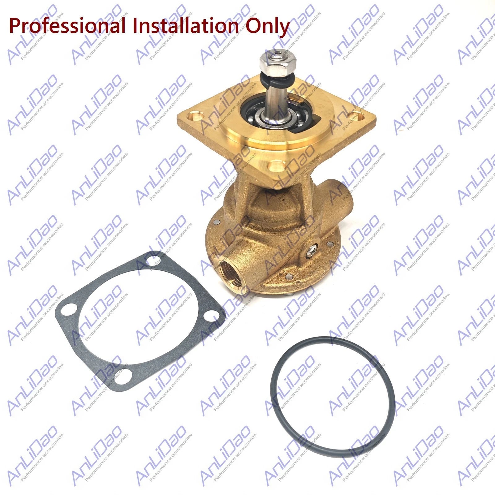 Sea Water Pump for Northern M16C M20CL M753 M843JK M844 (Repl 30410-9001 25-12057)