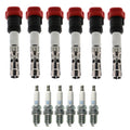 Set of 6 Ignition Coils & NGK Laser Platinum Spark Plugs for Audi A4 A6 (1996–2005)