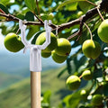 Set of 6 Aluminium Alloy Tree Branch Supports for Healthy Plant Growth