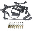 Ignition Wire Set & 8 ACDelco Platinum Spark Plugs for Chevy GMC 8.1 (2001–2009)