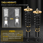 Coilover Shocks Struts for Honda Accord, Acura TSX (2003–2008)