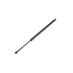 Hatch Lift Support for Chrysler Town & Country (68089035AD)