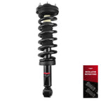 Front Quick Complete Strut-Coil Spring for Ford F-150 (2009–2013) 171141