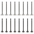 Set of 16 Intake & Exhaust Valves Kit for Cougar Escape Escort Focus (2000–2009)