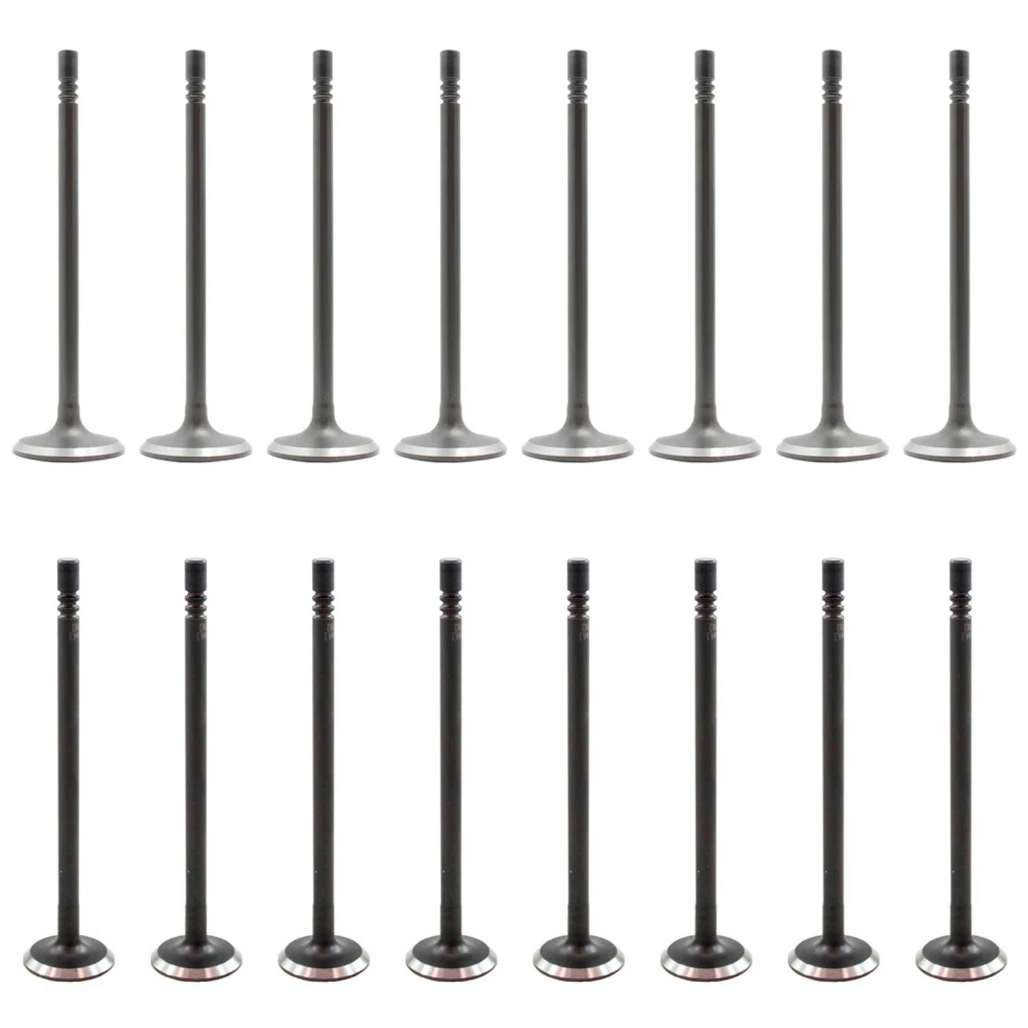 Set of 16 Intake & Exhaust Valves Kit for Cougar Escape Escort Focus (2000–2009)